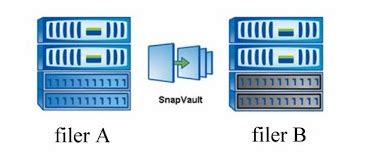 snapvault vs snapmirror.